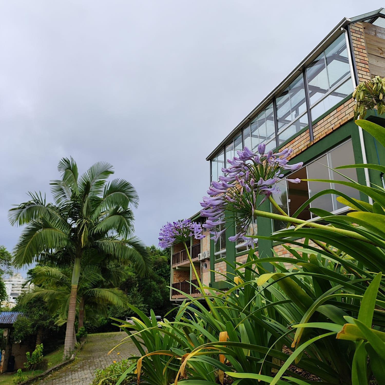 Pousada Dona Francisca Hotell Florianópolis Eksteriør bilde